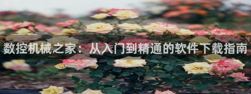 天富娱乐与天辰娱乐