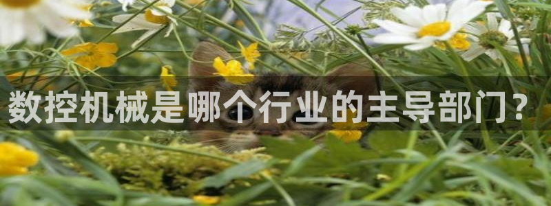 天辰娱乐注册登录