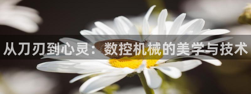 天辰娱乐平台：从刀刃到心灵：数控机械的美学与技术