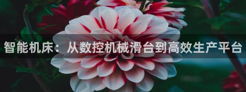 天辰辰娱乐代理