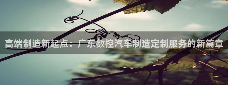 天辰娱乐官方：高端制造新起点：广东数控汽车制造定制服务的新篇章