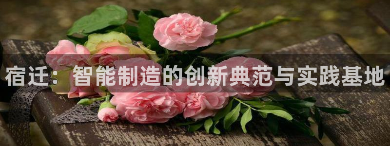 天辰宝娱乐