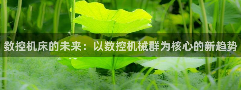 天辰娱乐解封