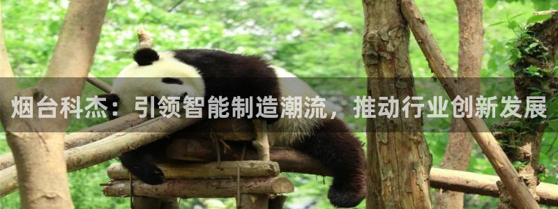 天辰娱乐官
