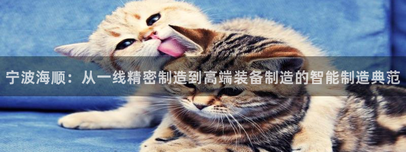 天辰娱乐待遇