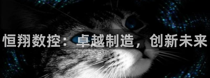 天辰娱乐557448：恒翔数控：卓越制造，创新未来