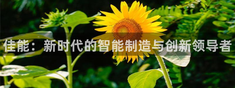 天辰娱乐1996