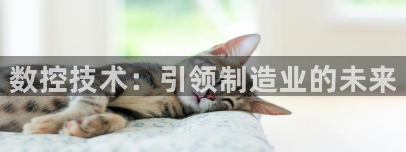 天辰娱乐游戏平台怎么样