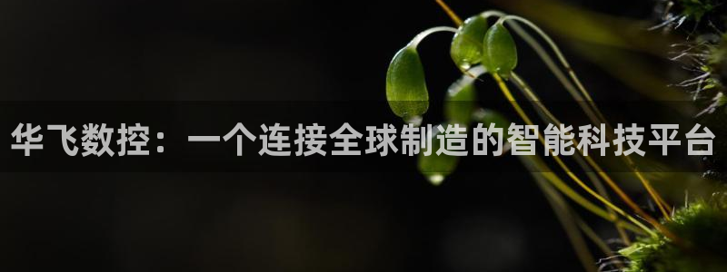 天辰娱乐 首选