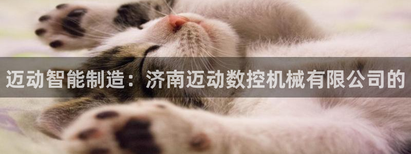 天辰娱乐平台登录账号