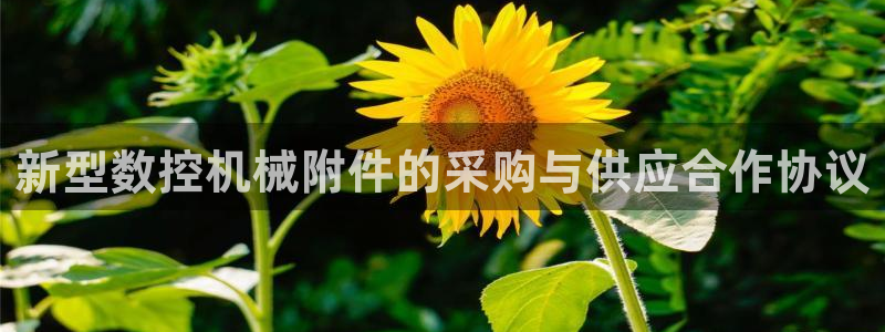 天辰娱乐官方网