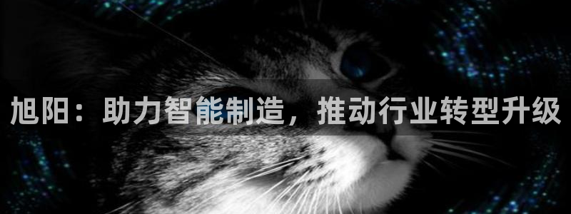 天辰娱乐待遇