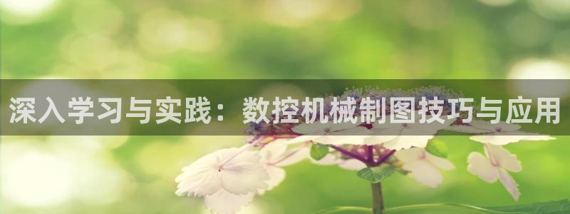 天辰娱乐平台app下载